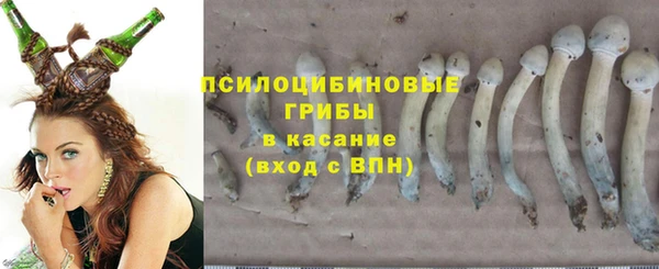 стафф Алексеевка