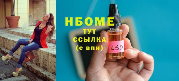 хмурый Алзамай