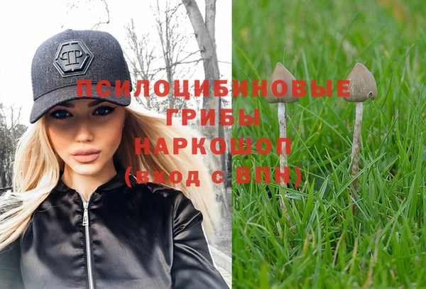хмурый Алзамай