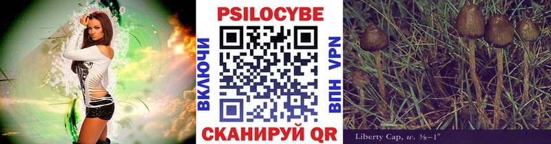 Псилоцибиновые грибы Cubensis  Остров 
