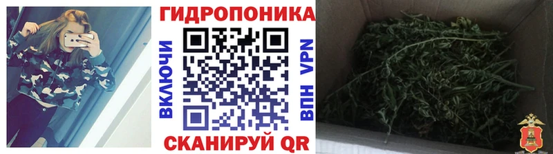 Конопля план Остров